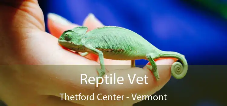 Reptile Vet Thetford Center - Vermont