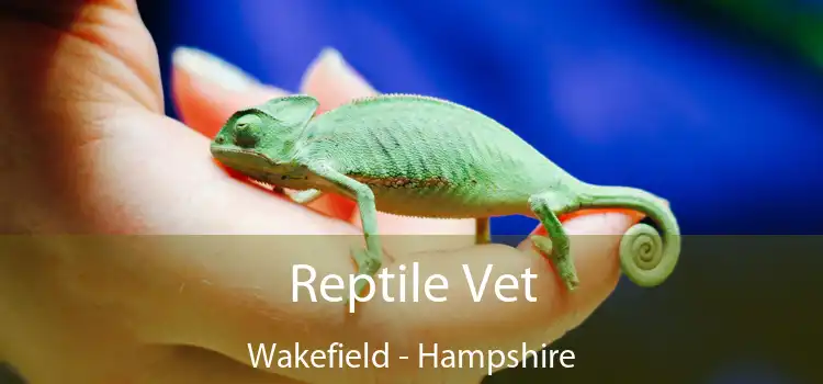 Reptile Vet Wakefield - Hampshire