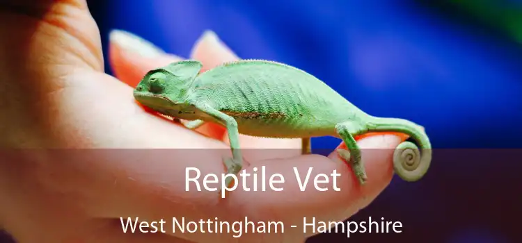 Reptile Vet West Nottingham - Hampshire