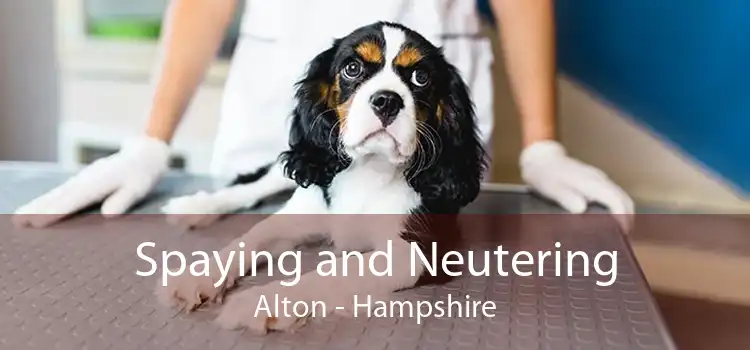 Spaying and Neutering Alton - Hampshire