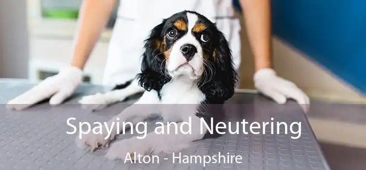 Spaying and Neutering Alton - Hampshire