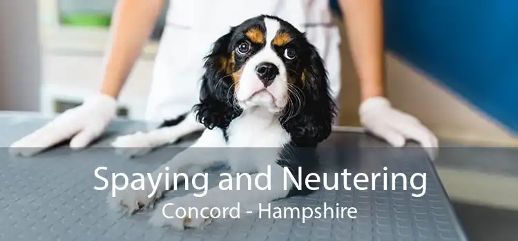 Spaying and Neutering Concord - Hampshire