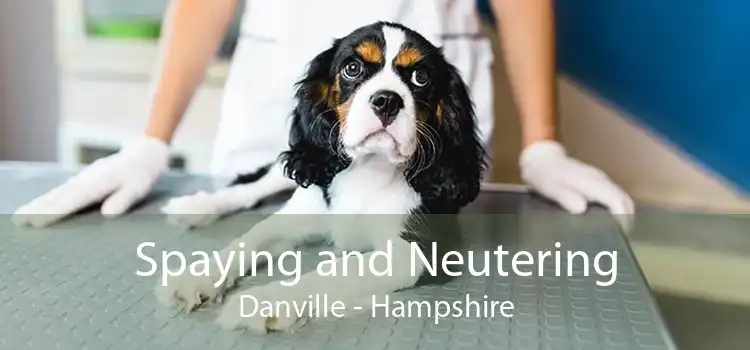 Spaying and Neutering Danville - Hampshire