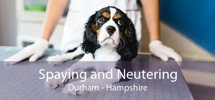 Spaying and Neutering Durham - Hampshire