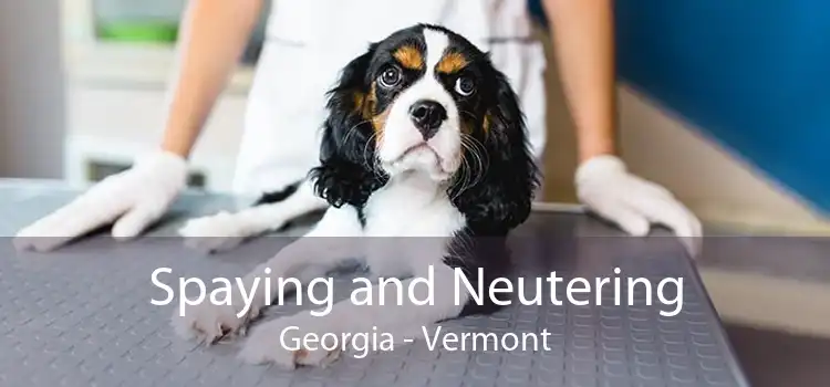 Spaying and Neutering Georgia - Vermont