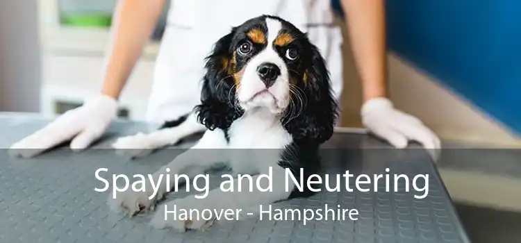 Spaying and Neutering Hanover - Hampshire