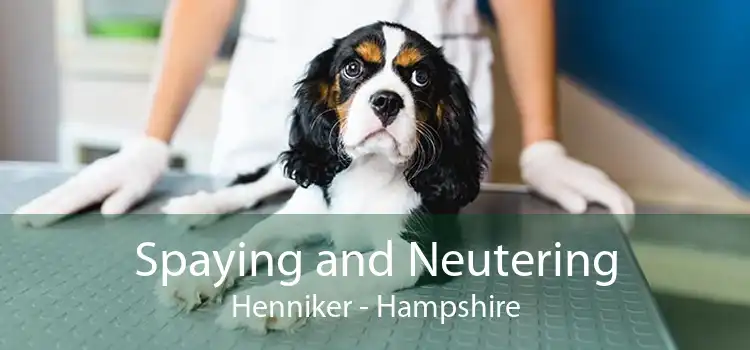 Spaying and Neutering Henniker - Hampshire