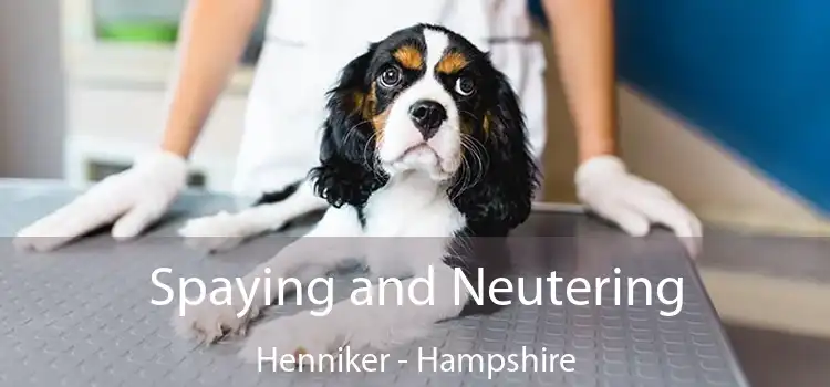 Spaying and Neutering Henniker - Hampshire