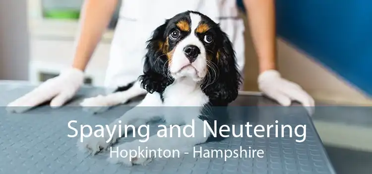 Spaying and Neutering Hopkinton - Hampshire