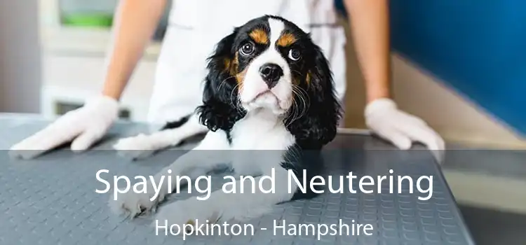 Spaying and Neutering Hopkinton - Hampshire