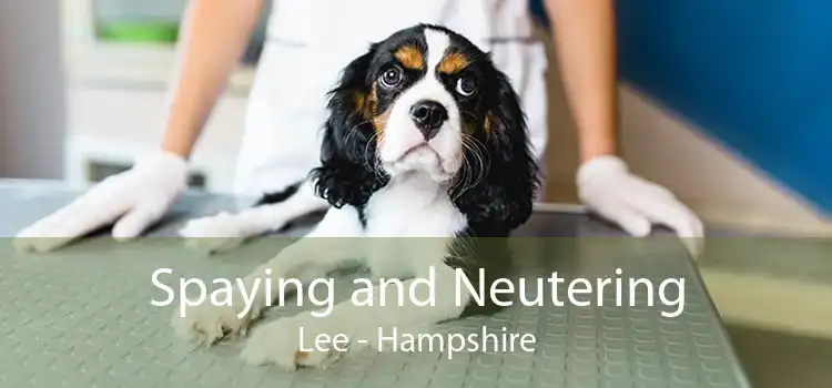 Spaying and Neutering Lee - Hampshire