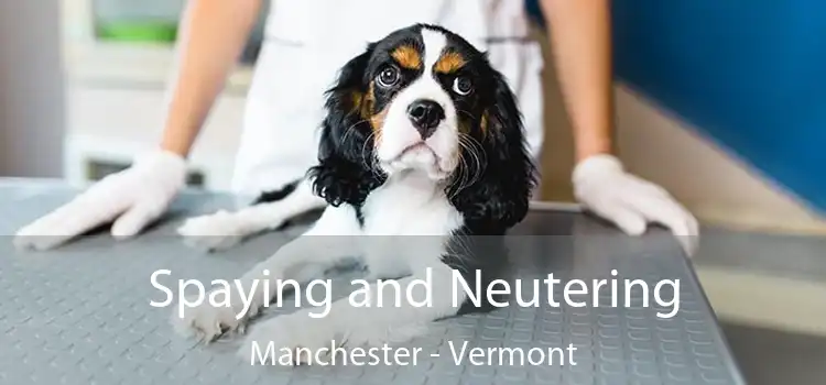 Spaying and Neutering Manchester - Vermont