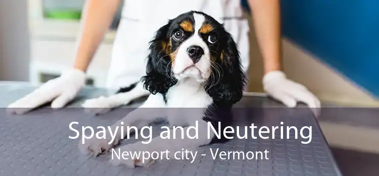 Spaying and Neutering Newport city - Vermont
