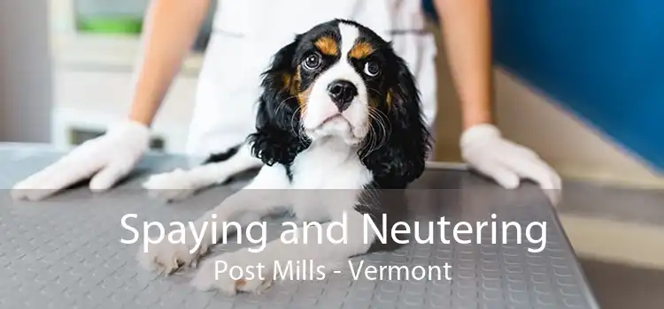 Spaying and Neutering Post Mills - Vermont