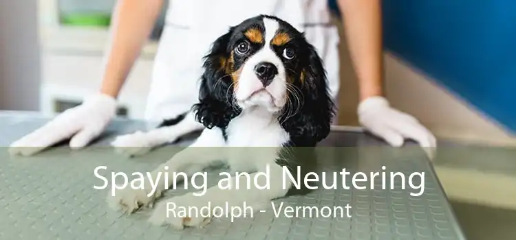 Spaying and Neutering Randolph - Vermont
