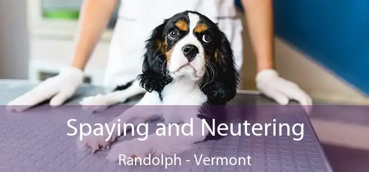 Spaying and Neutering Randolph - Vermont