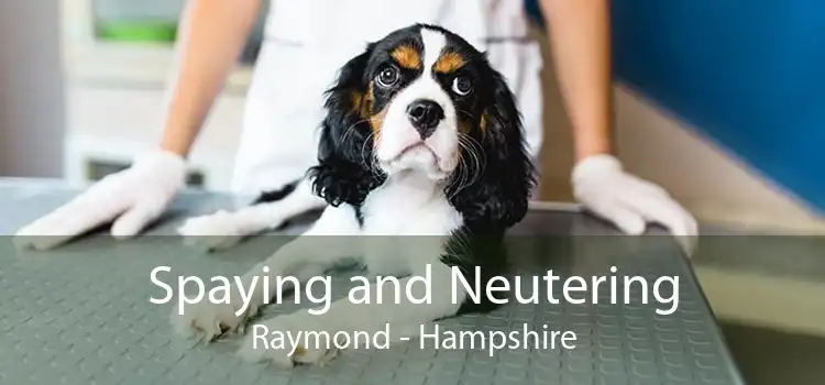 Spaying and Neutering Raymond - Hampshire