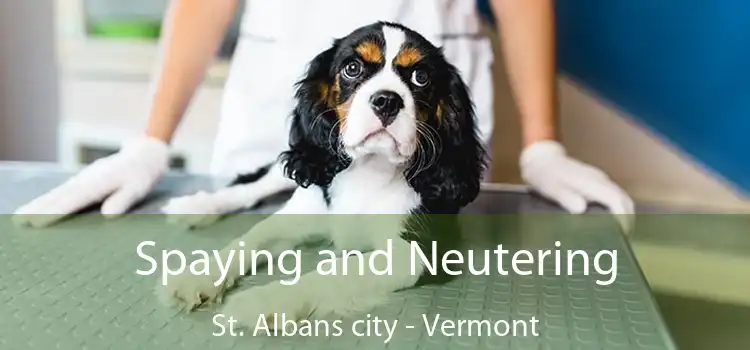 Spaying and Neutering St. Albans city - Vermont