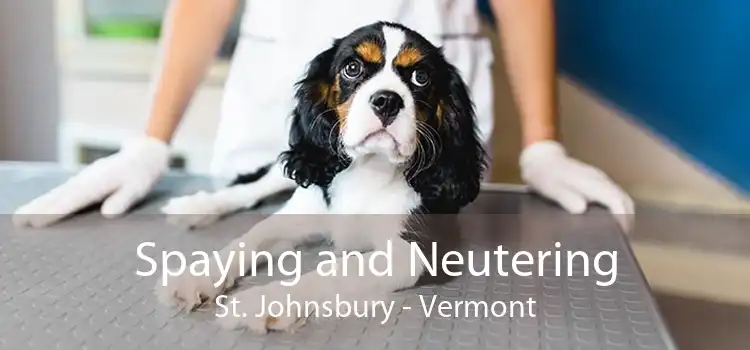 Spaying and Neutering St. Johnsbury - Vermont