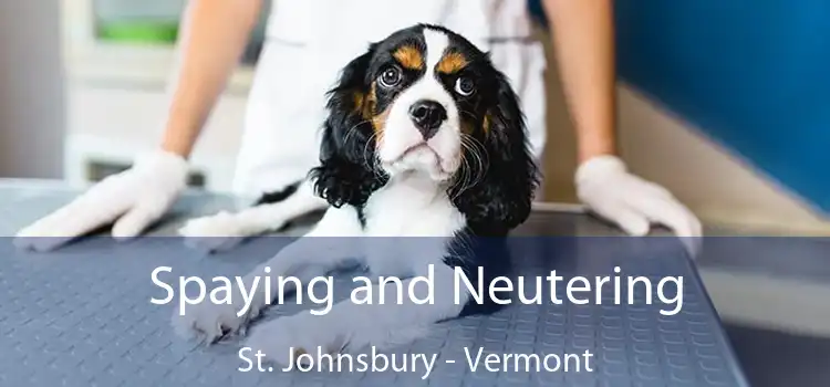 Spaying and Neutering St. Johnsbury - Vermont