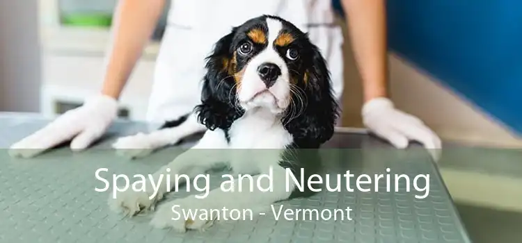 Spaying and Neutering Swanton - Vermont