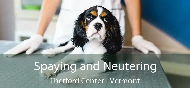 Spaying and Neutering Thetford Center - Vermont