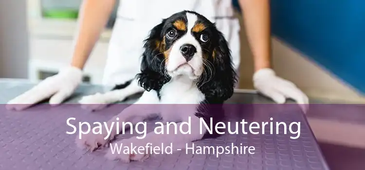 Spaying and Neutering Wakefield - Hampshire
