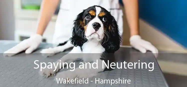 Spaying and Neutering Wakefield - Hampshire