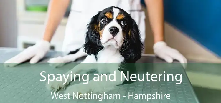 Spaying and Neutering West Nottingham - Hampshire