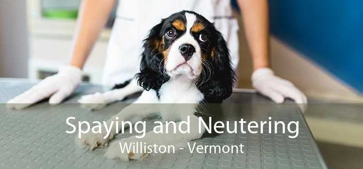 Spaying and Neutering Williston - Vermont