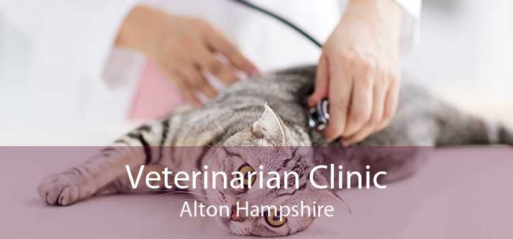 Veterinarian Clinic Alton Hampshire