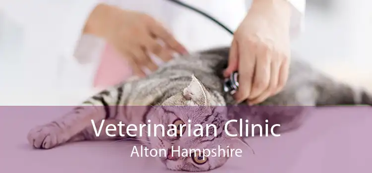 Veterinarian Clinic Alton Hampshire