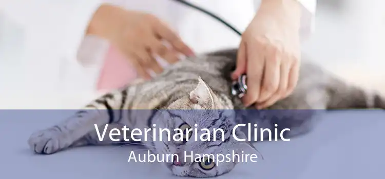 Veterinarian Clinic Auburn Hampshire