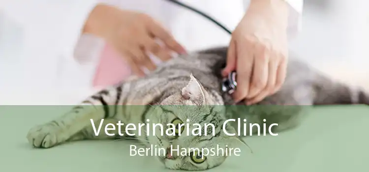 Veterinarian Clinic Berlin Hampshire