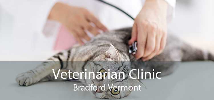 Veterinarian Clinic Bradford Vermont
