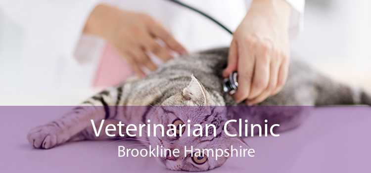 Veterinarian Clinic Brookline Hampshire