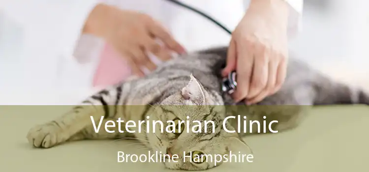 Veterinarian Clinic Brookline Hampshire