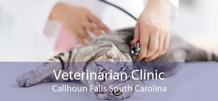 Veterinarian Clinic Callhoun Falls South Carolina