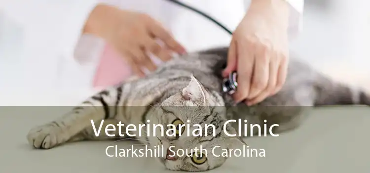 Veterinarian Clinic Clarkshill South Carolina