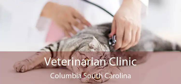 Veterinarian Clinic Columbia South Carolina