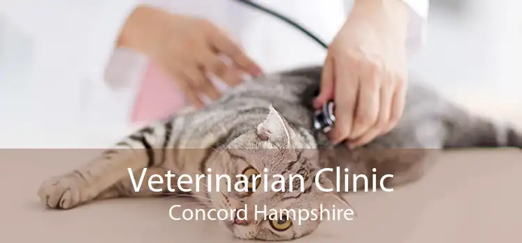 Veterinarian Clinic Concord Hampshire