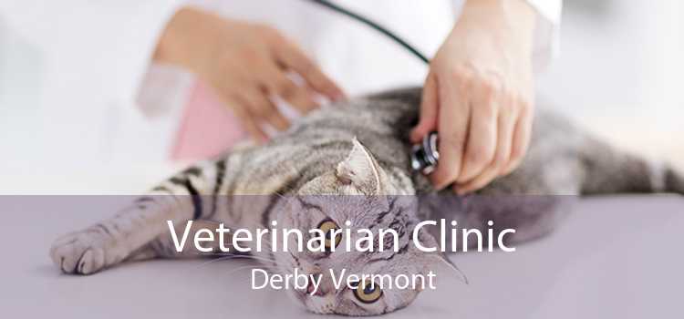 Veterinarian Clinic Derby Vermont