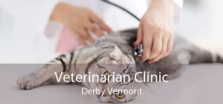 Veterinarian Clinic Derby Vermont