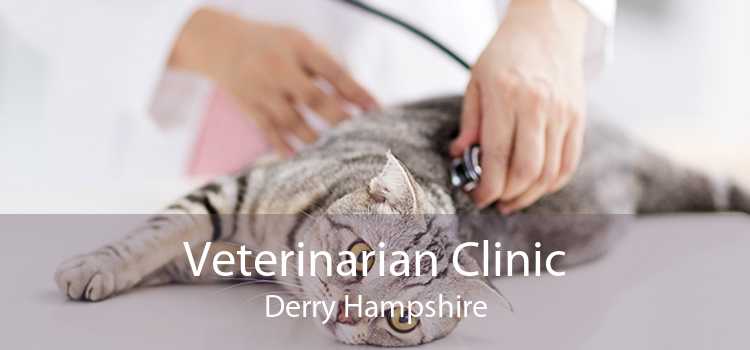 Veterinarian Clinic Derry Hampshire