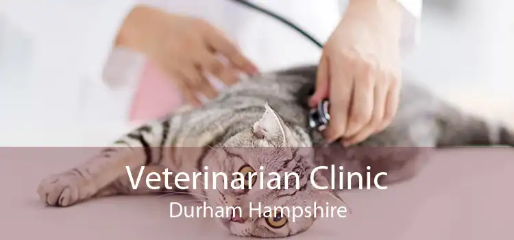 Veterinarian Clinic Durham Hampshire