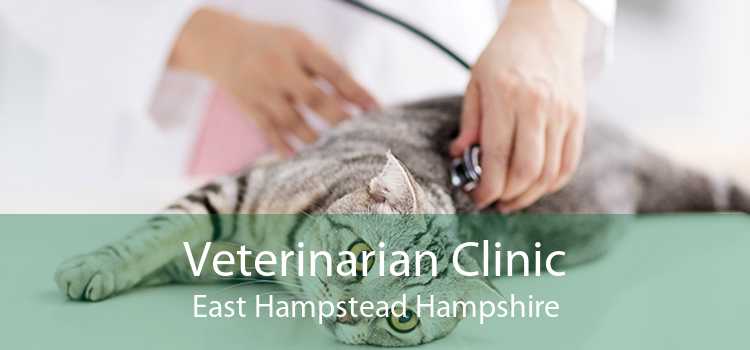 Veterinarian Clinic East Hampstead Hampshire