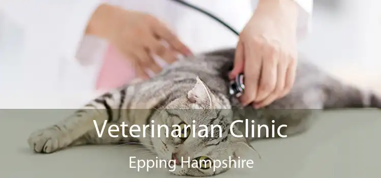 Veterinarian Clinic Epping Hampshire