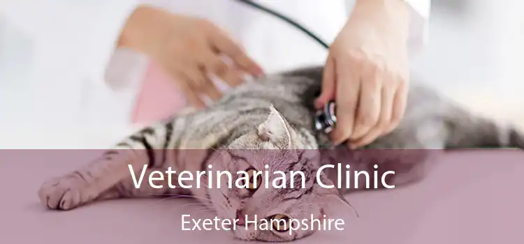 Veterinarian Clinic Exeter Hampshire