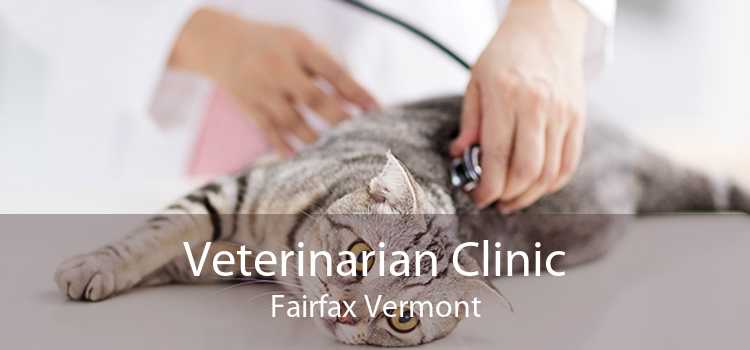 Veterinarian Clinic Fairfax Vermont