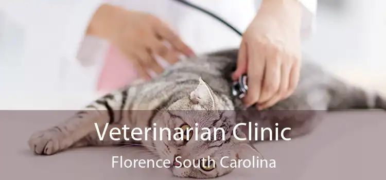 Veterinarian Clinic Florence South Carolina